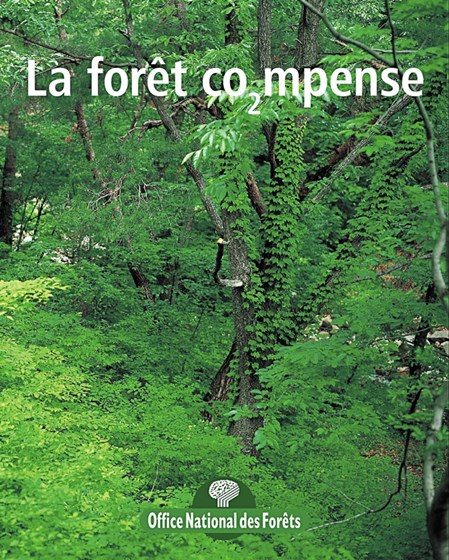 Affiches: Affiches Posters