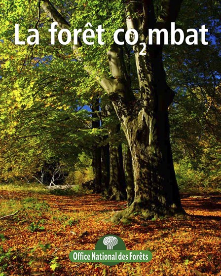 Affiches: Affiches Posters