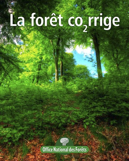 Affiches: Affiches Posters