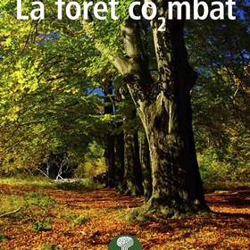 Affiches: Affiches Posters